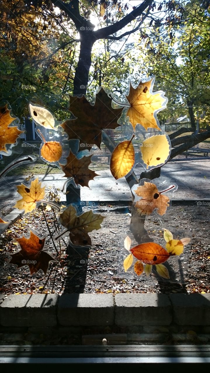 decorating the window with leafs