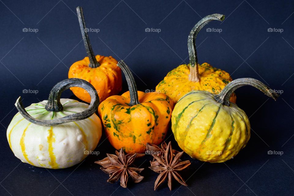 pumpkin's