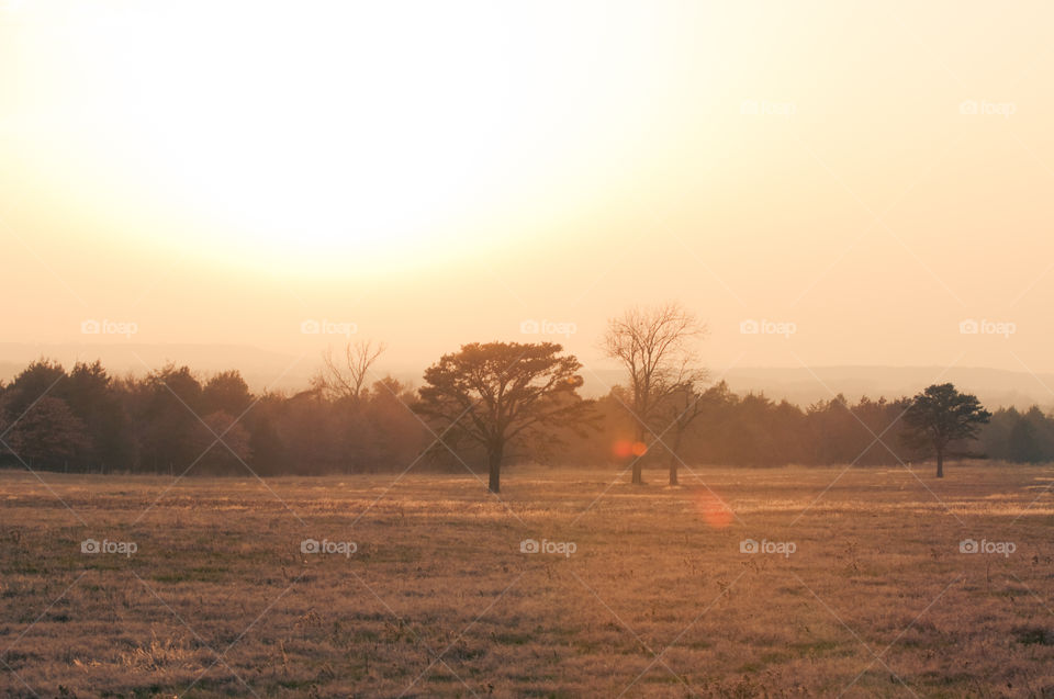 Warm Sunny Afternoon on the Farm