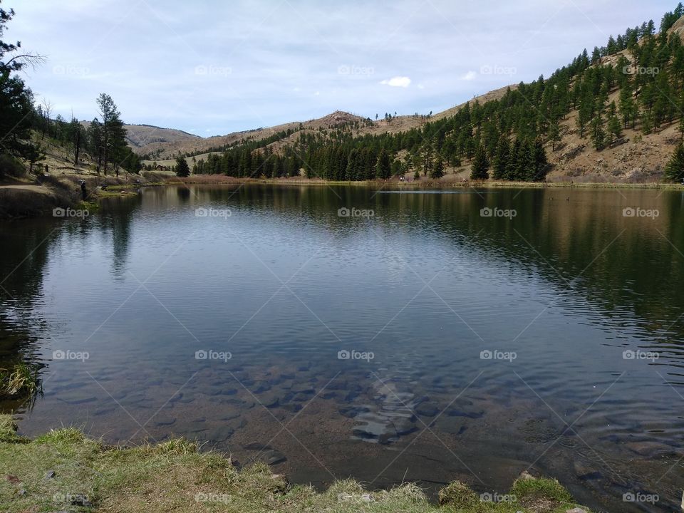 picture of good fishing​ spot near pine junction