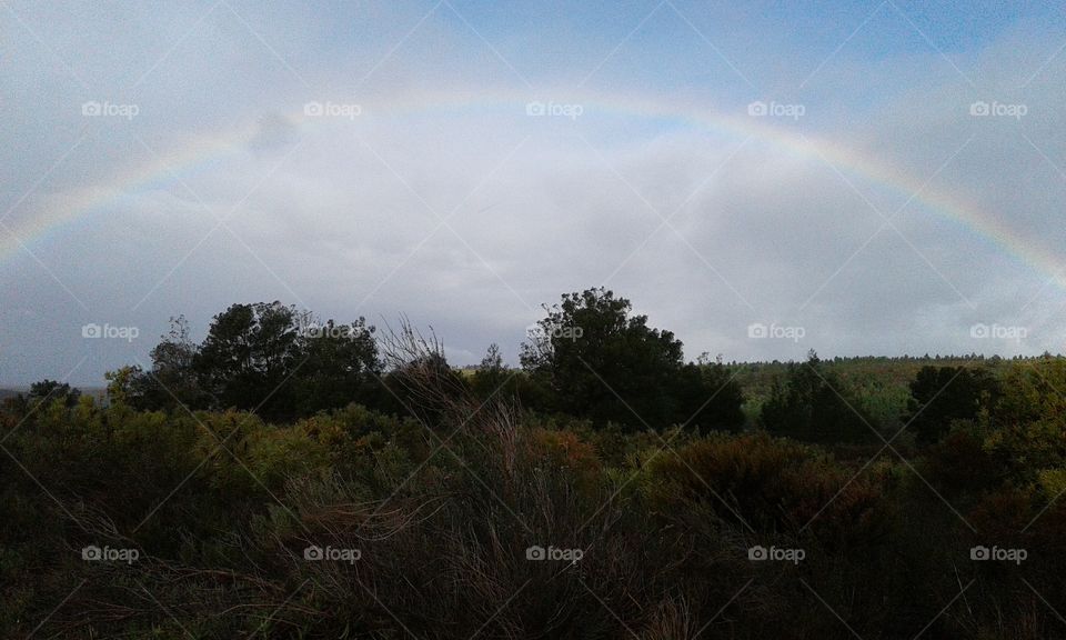 distant rainbow