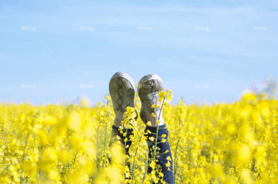 Girl on the meadow