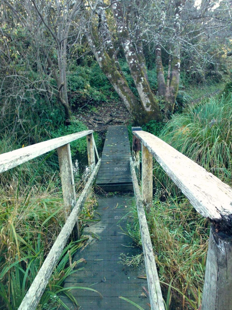 A gap in the bridge that is too big to step over but not big enough to hop over. So, we hopped (Fort Bragg, CA)