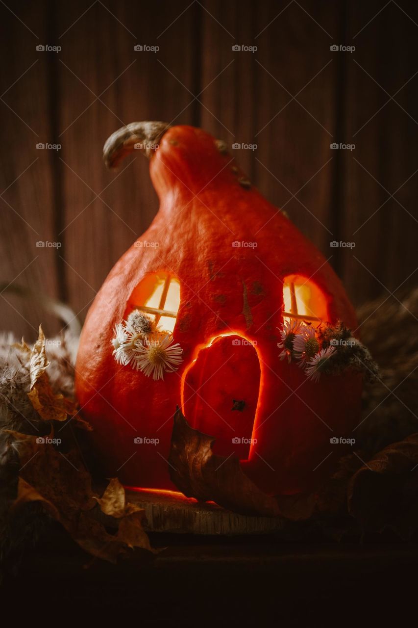 Pumpkin house. Halloween decoration