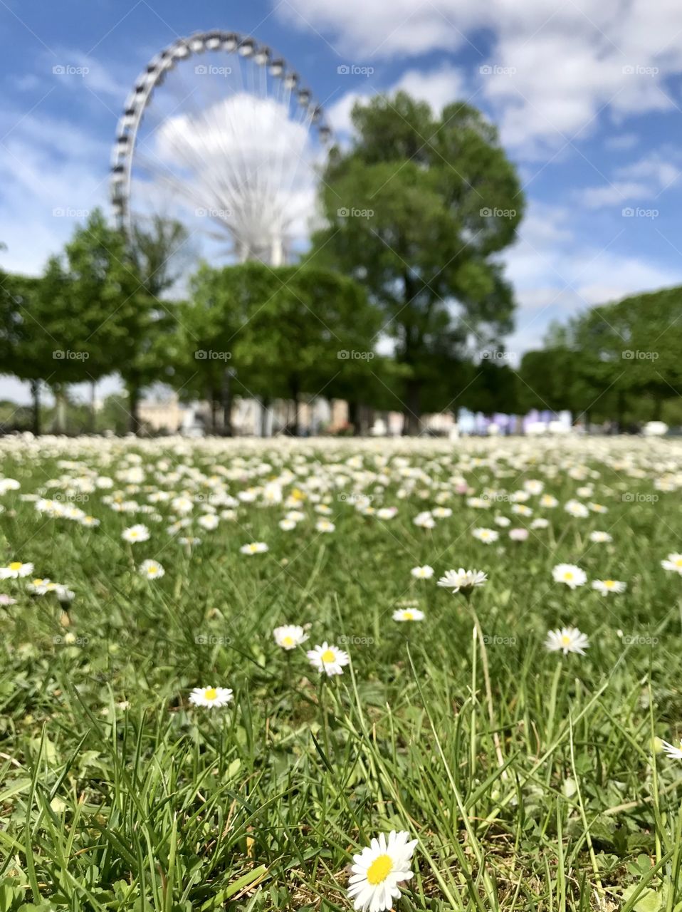 Discovering Paris