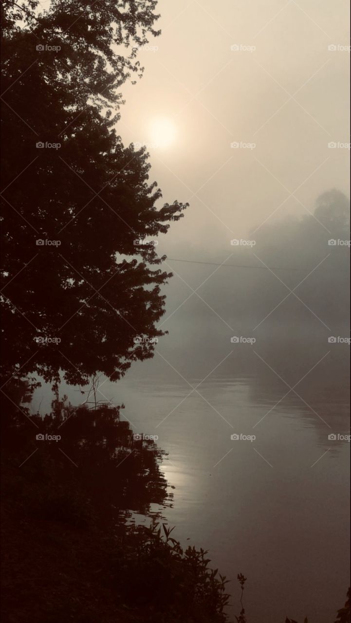 Foggy sunrise on a cool summer morning