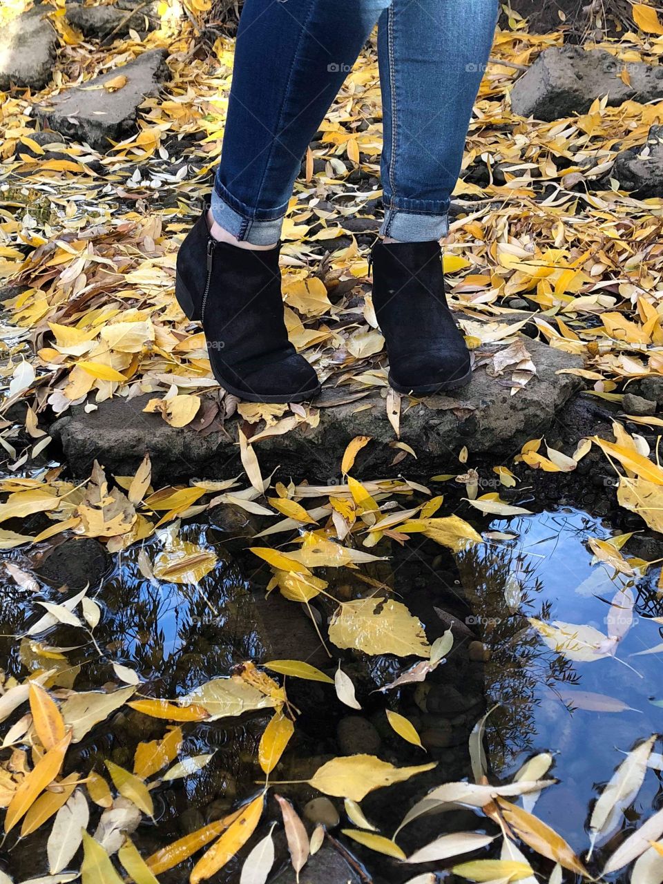Fall boots in fall