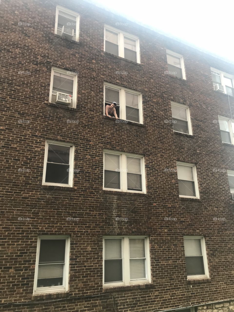 Leaning out the window