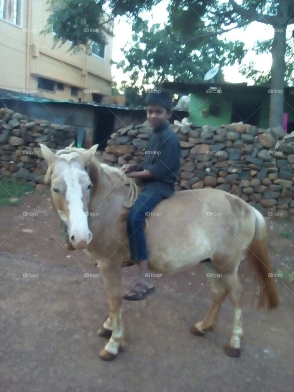 horse with boy