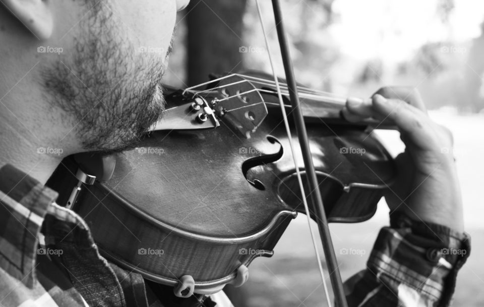 Violin black and white 