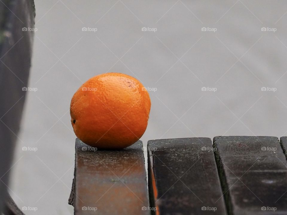 Lonely orange in the rain