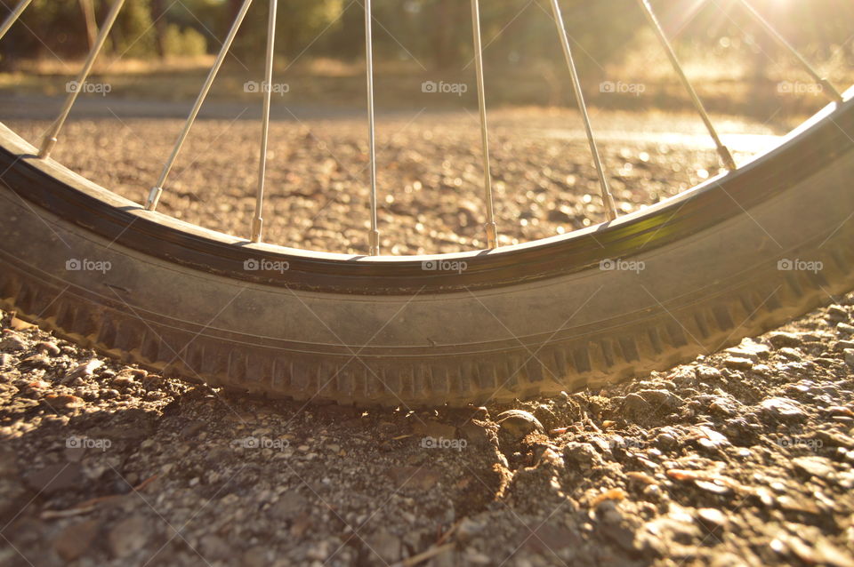close up bike wheel
