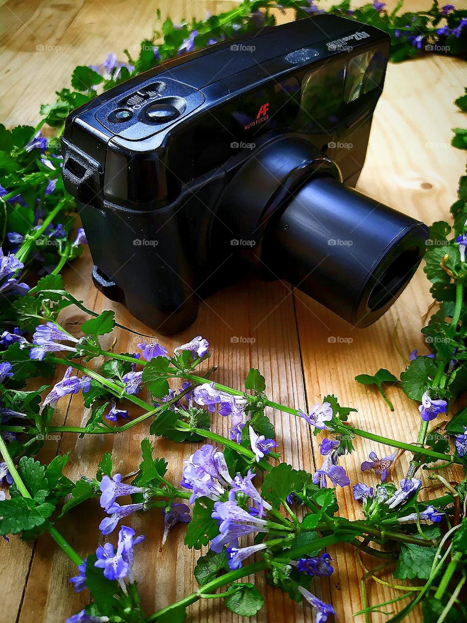 Black fotocamera around which wildflowers are purple with green leaves