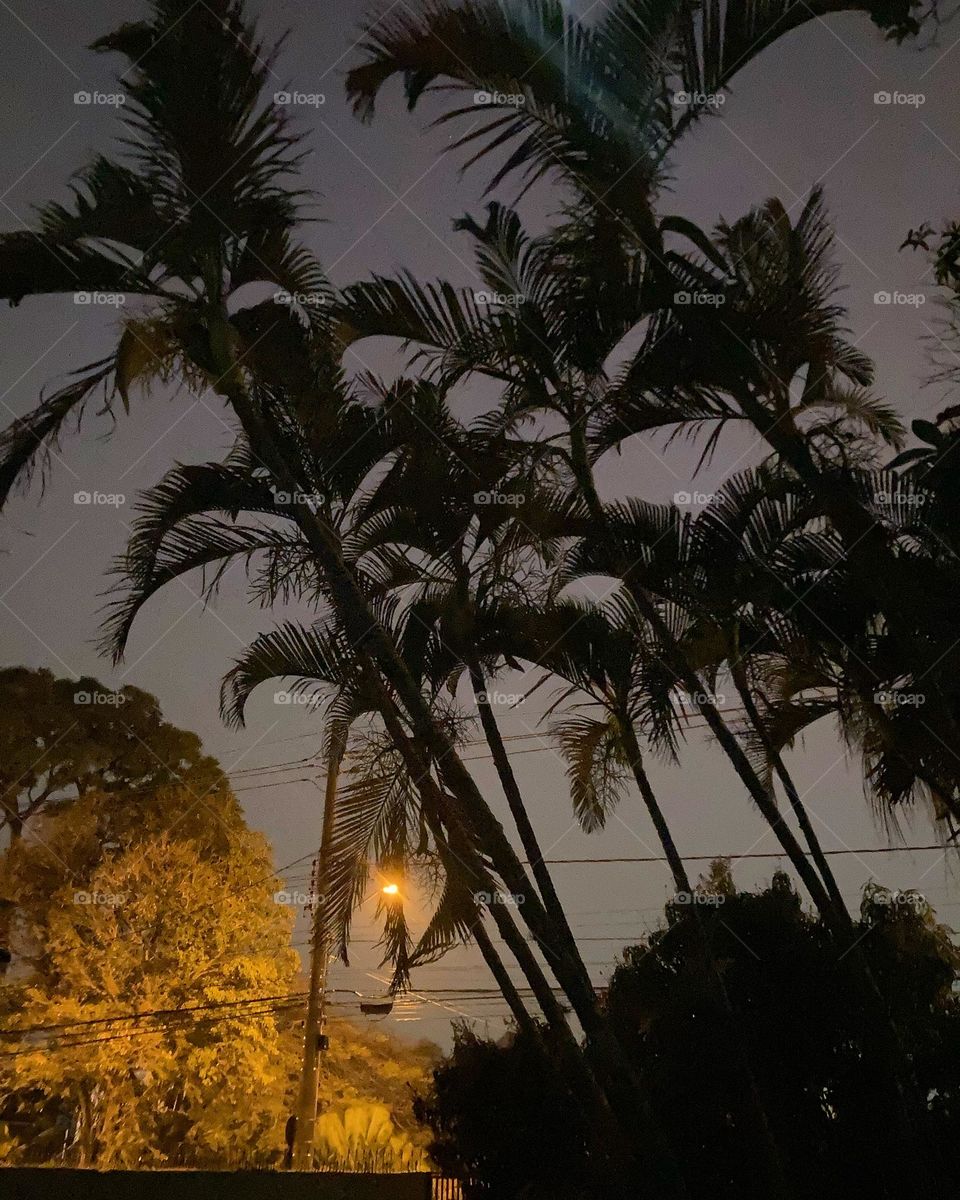 🌄🇺🇸 An extremely beautiful dawn in Jundiaí, interior of Brazil. Cheer the nature! / 🇧🇷 Um amanhecer extremamente bonito em Jundiaí, interior do Brasil. Viva a natureza!