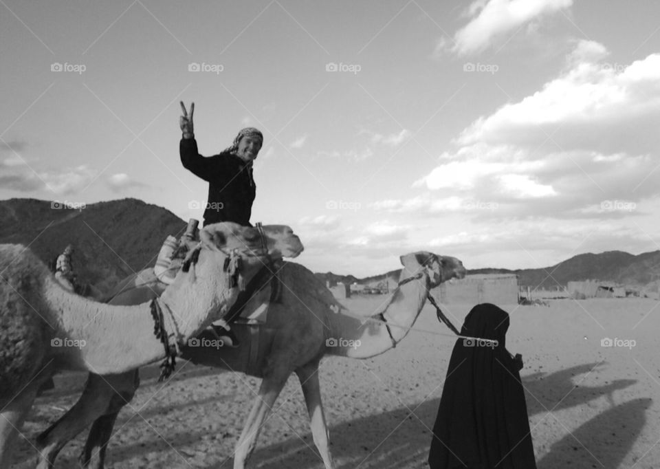 Camel travel