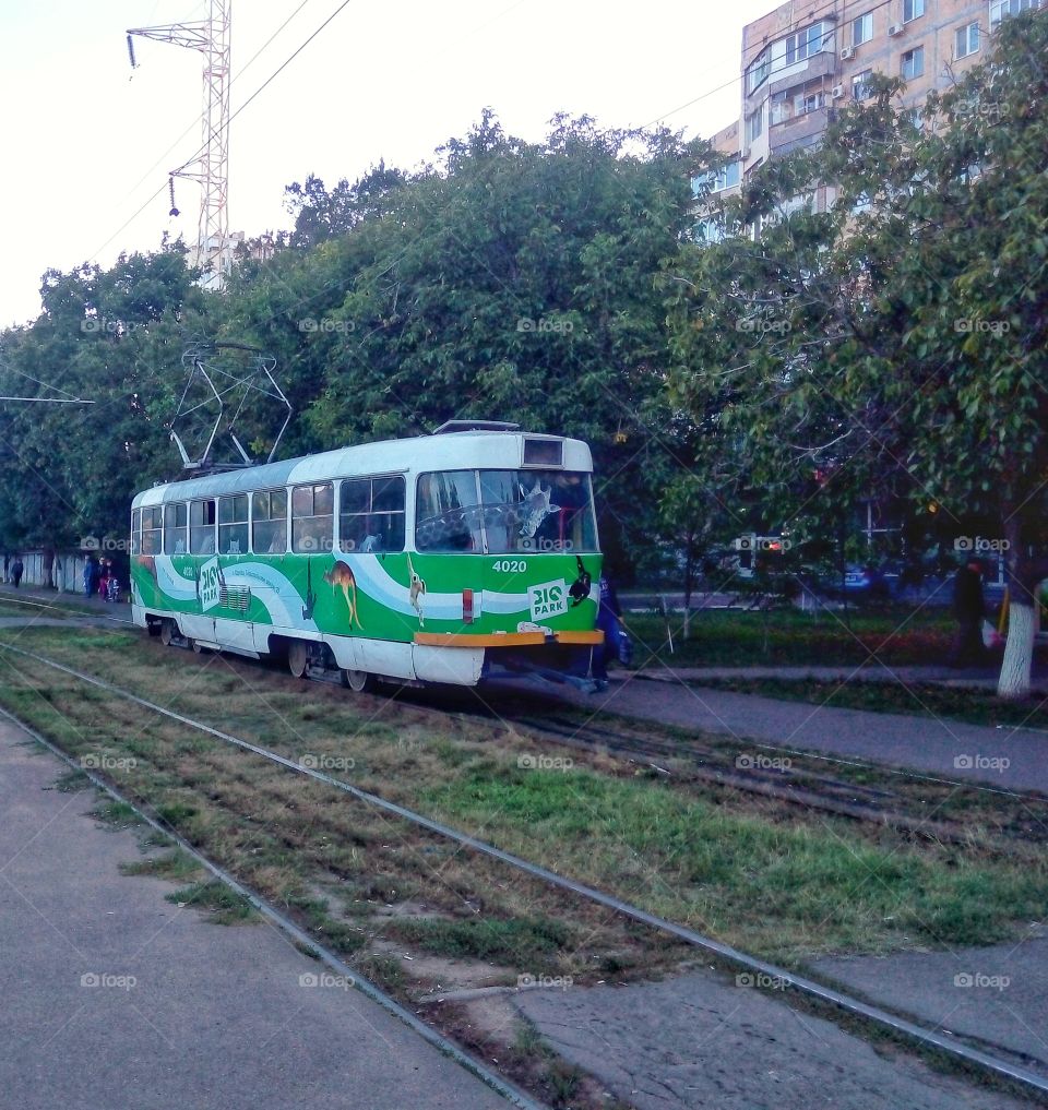 Railway, Train, Locomotive, Transportation System, Track