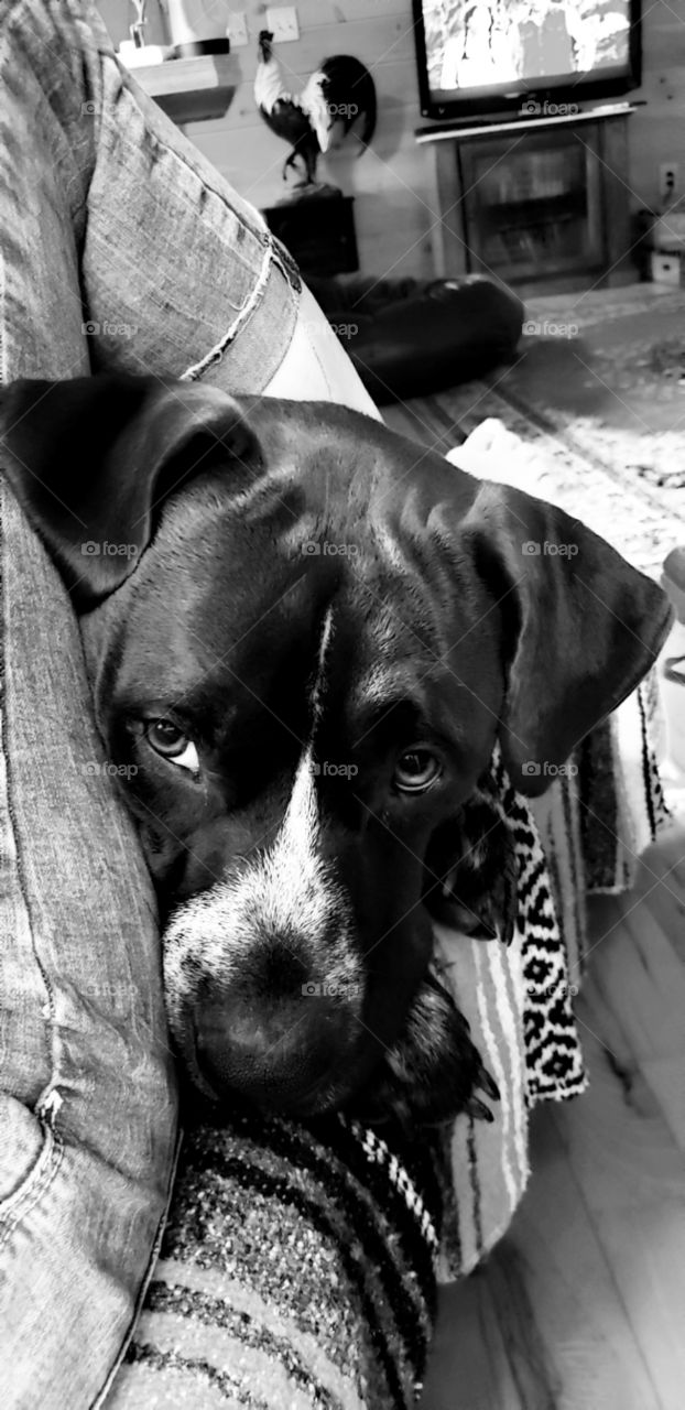 security love warmth tenderness cozying