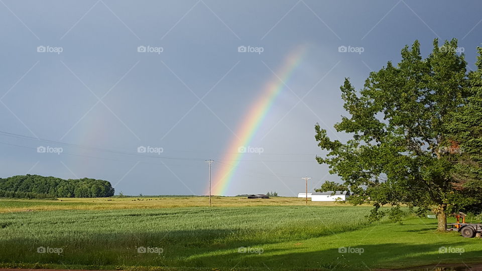 rainbow bliss