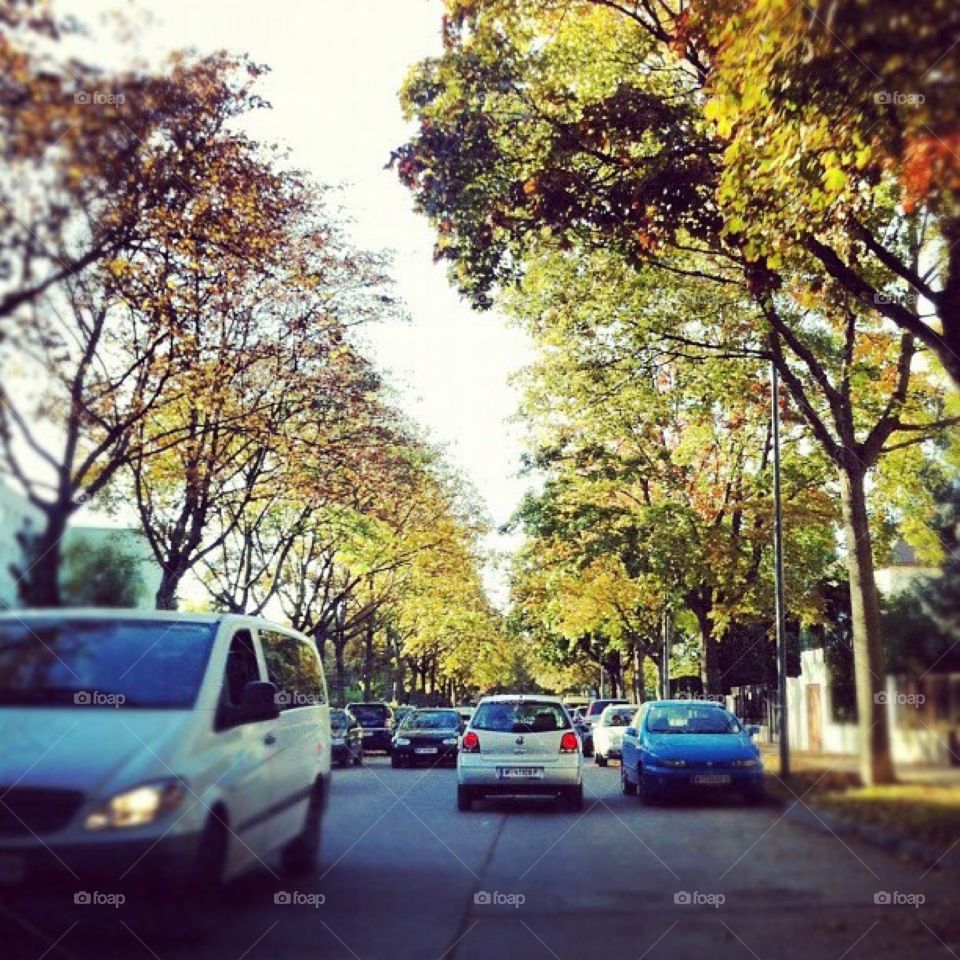 Autumn is around the city 