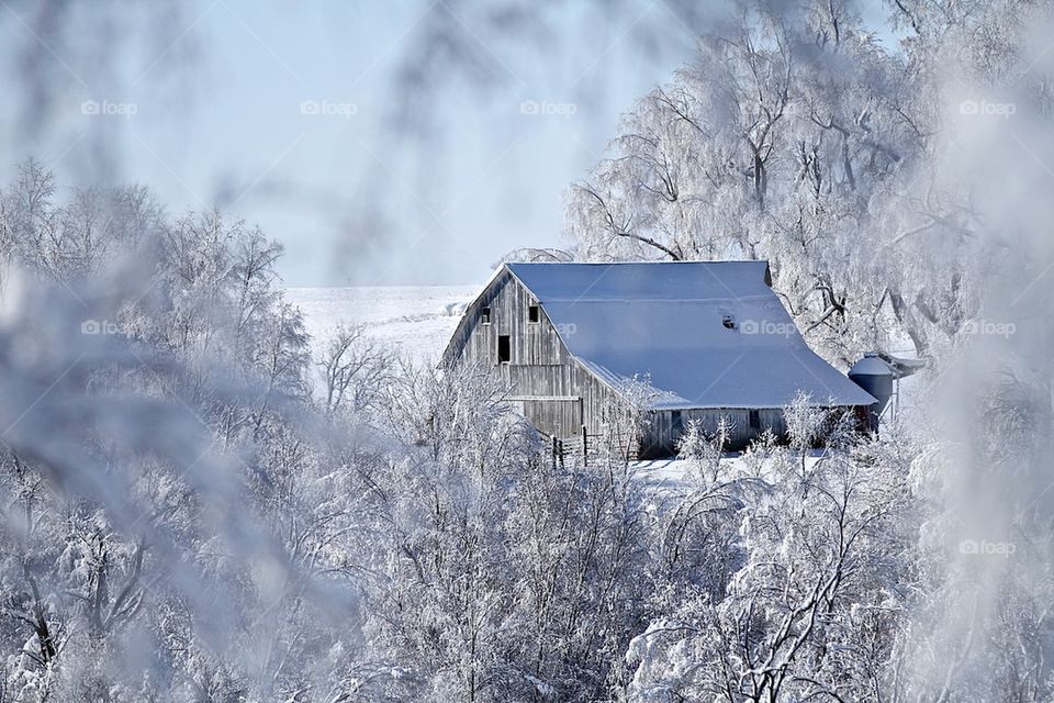 Frozen barn roof in winter