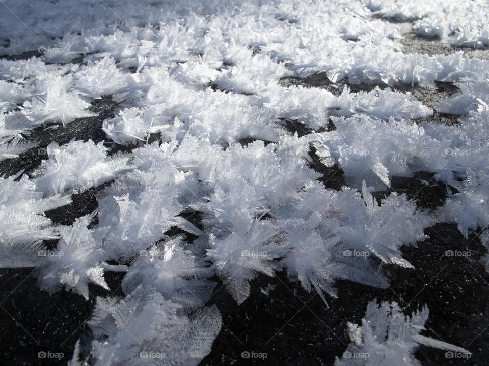 Ice crystals flowers over a river 