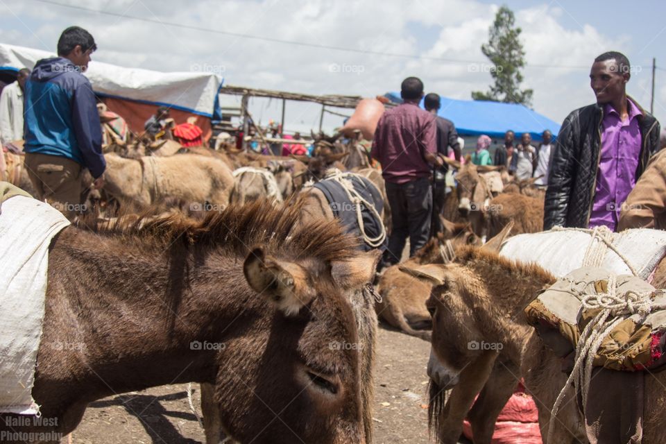 Market 