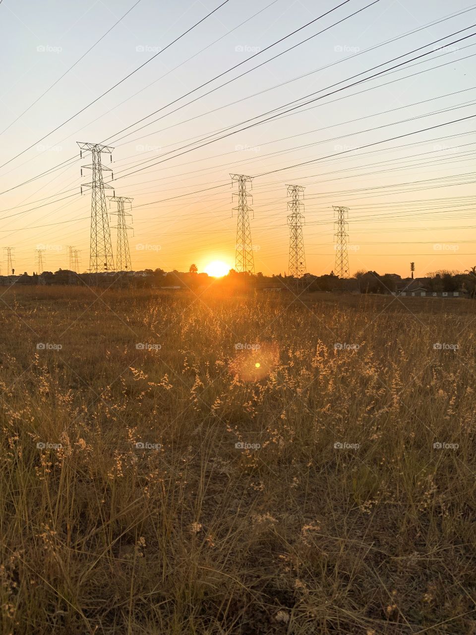 Sunset! How beautiful is this sunset? With the power lines in the background, it gives such a contrast