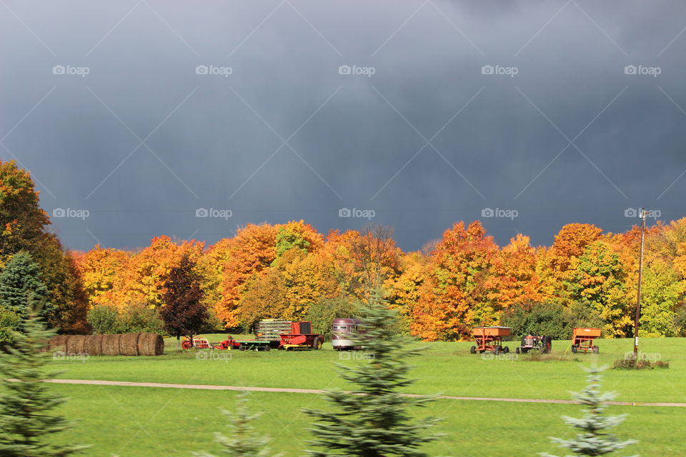 Autumn on a farm in northern Michigan,  so colorful with the changing leaves