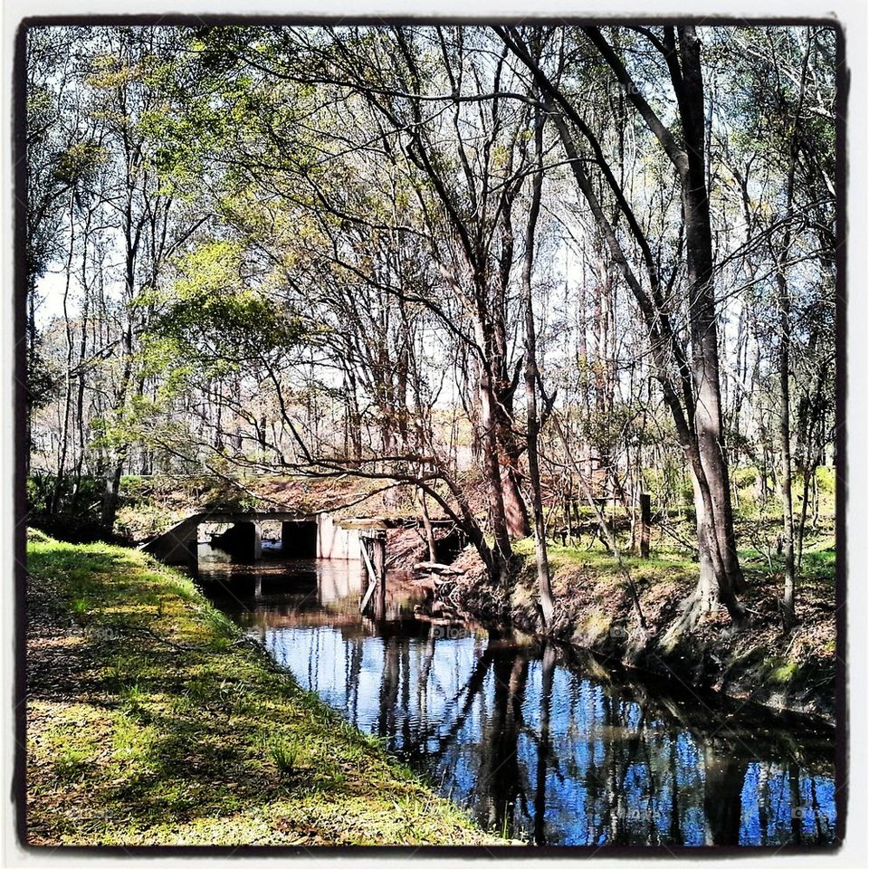 Spring Along the Canal
