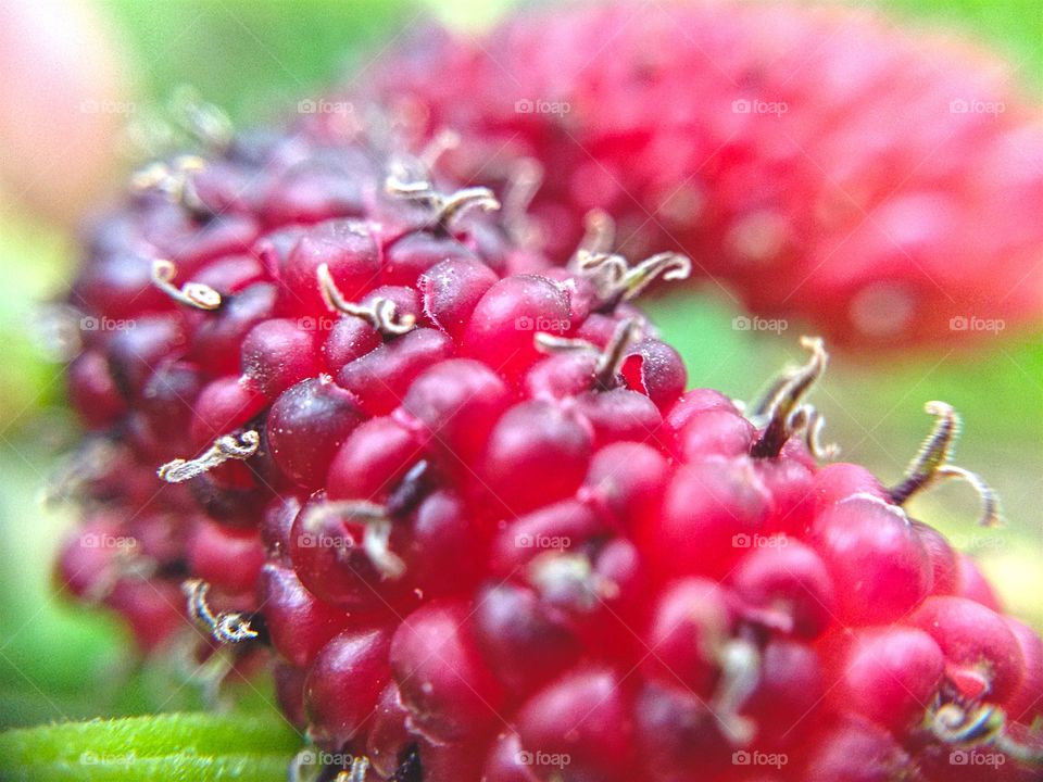 Starvin. When I am starvin my eyes see things in plus size