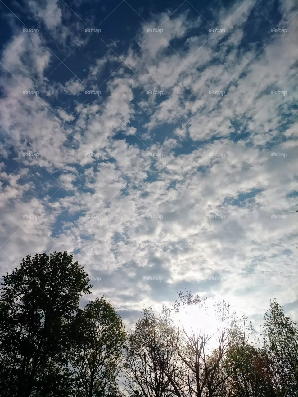 sunshine