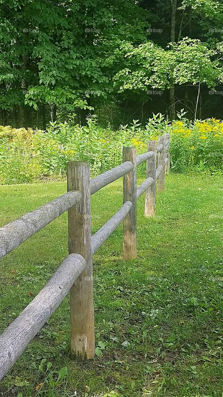 rustic log fence