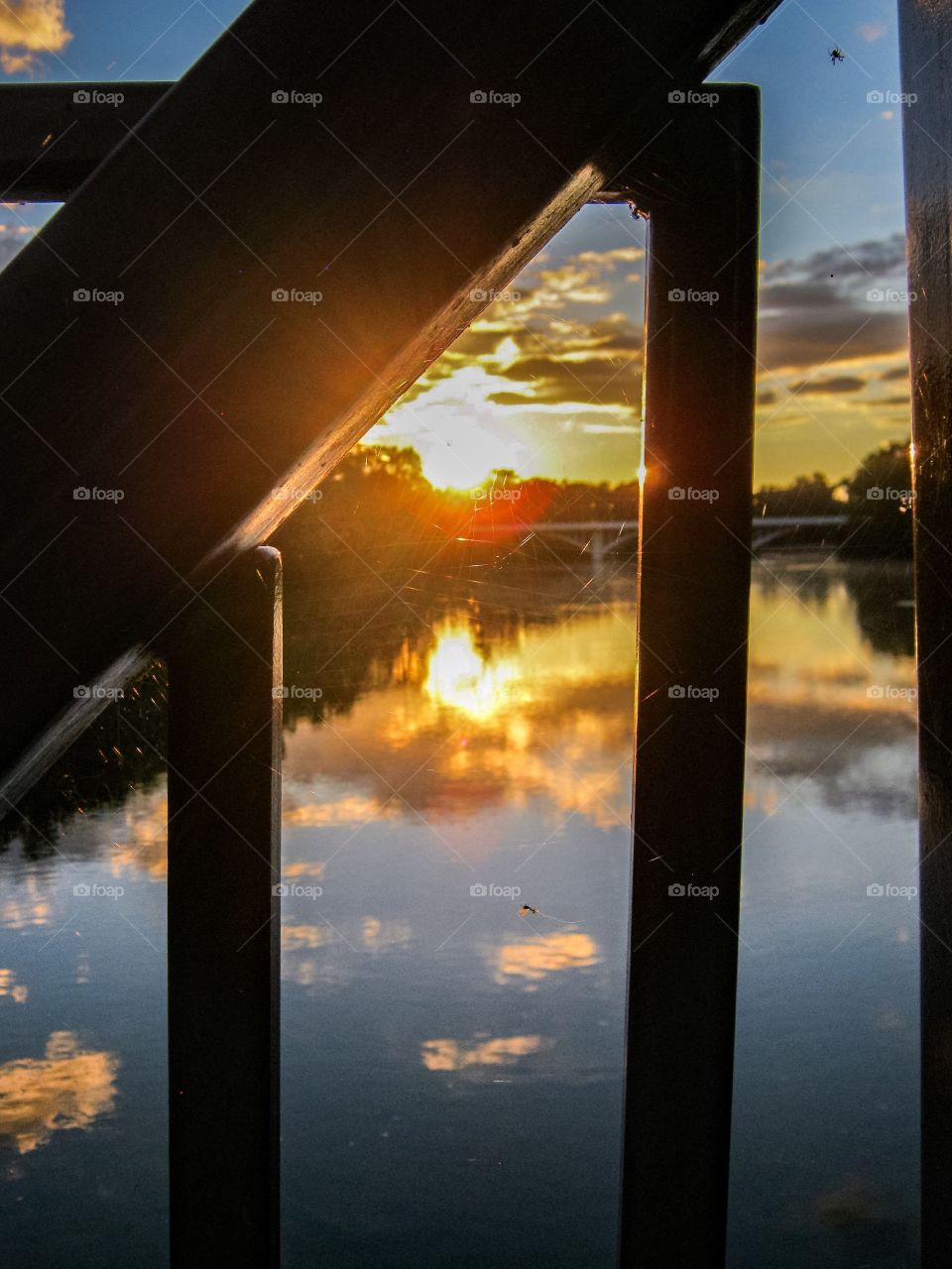 Web designer Sunset