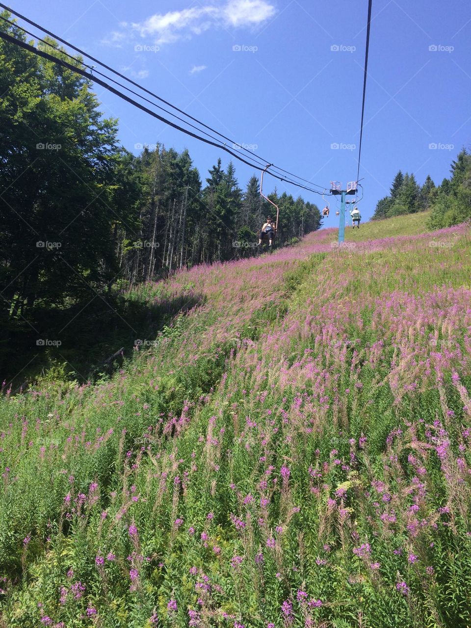 Amazing nature views in the Carpathian mountains, known as a popular vacation destination in Ukraine. 