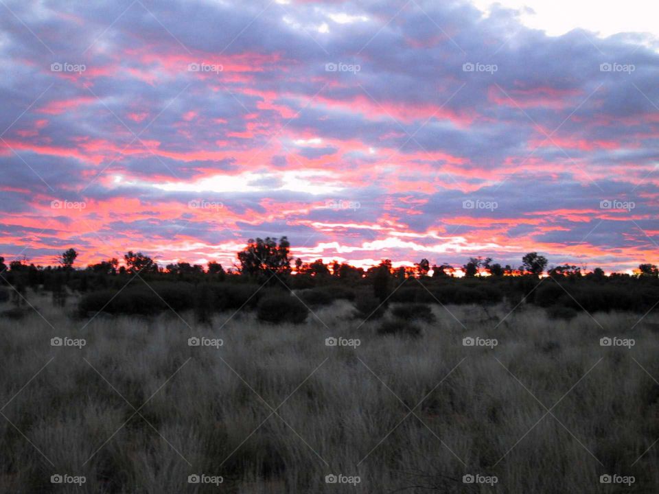 Dusk in the Outback