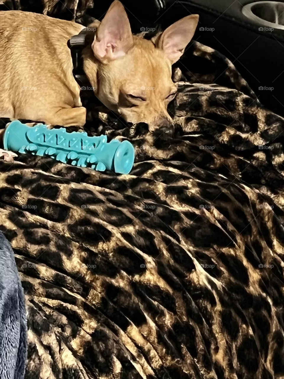 All sleep no play 