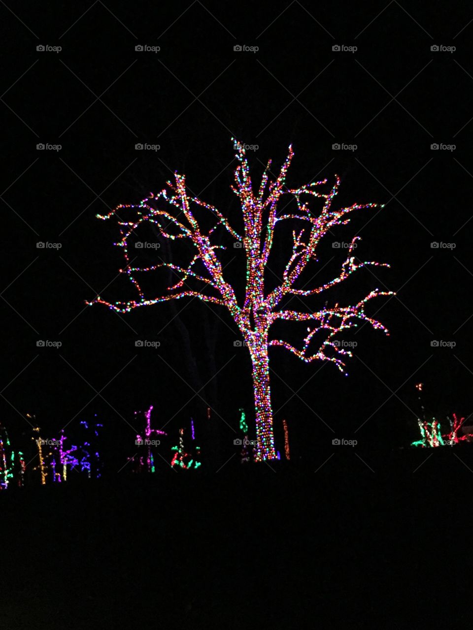 Holidays Tree Lights
