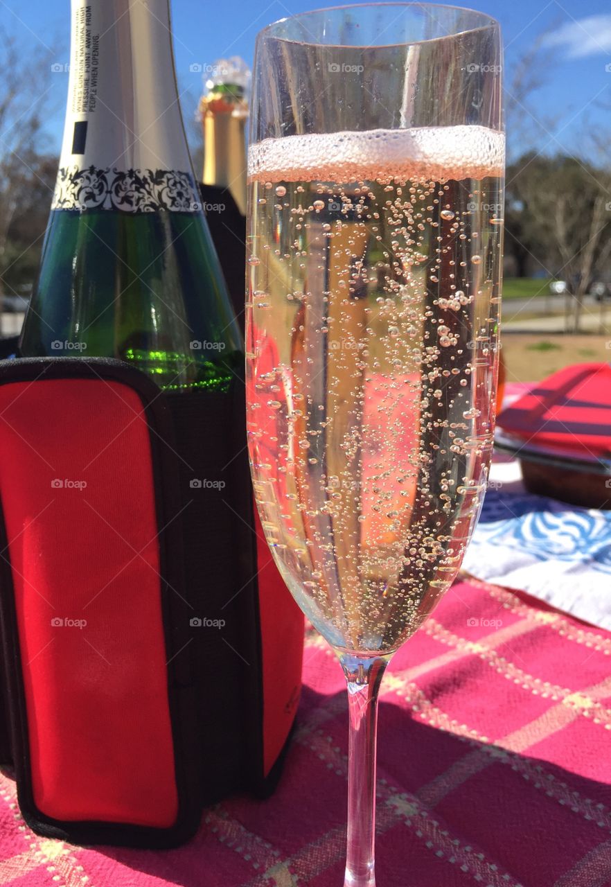 Champaign and picnic time! 