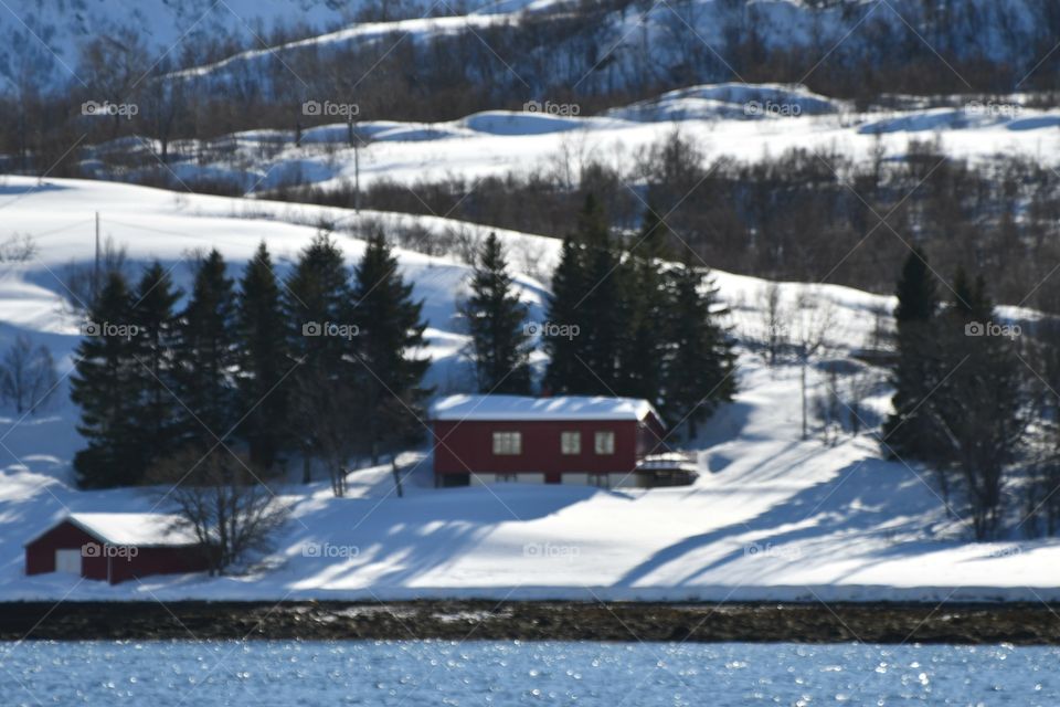 Winter cabin