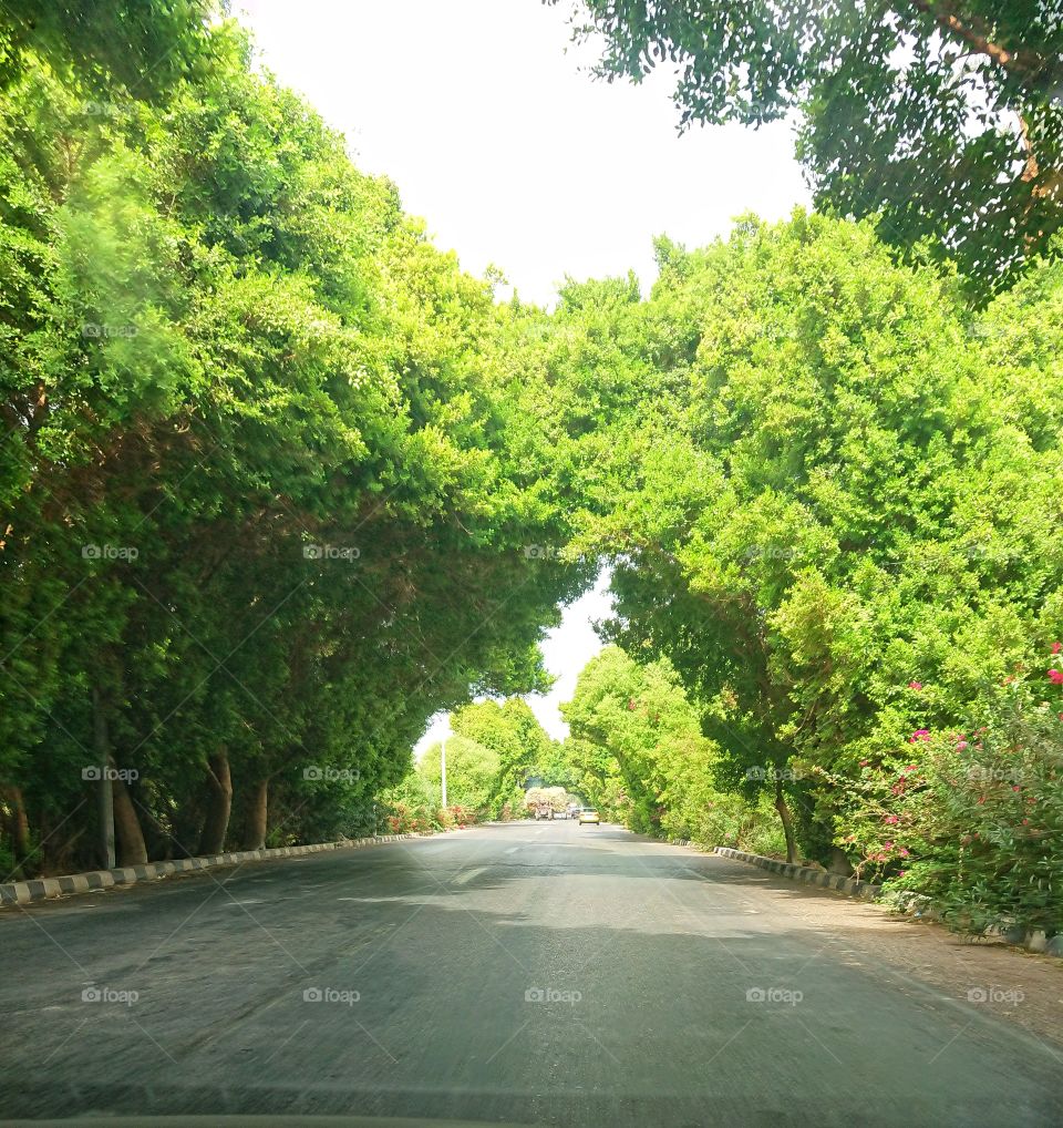 Luxor Road