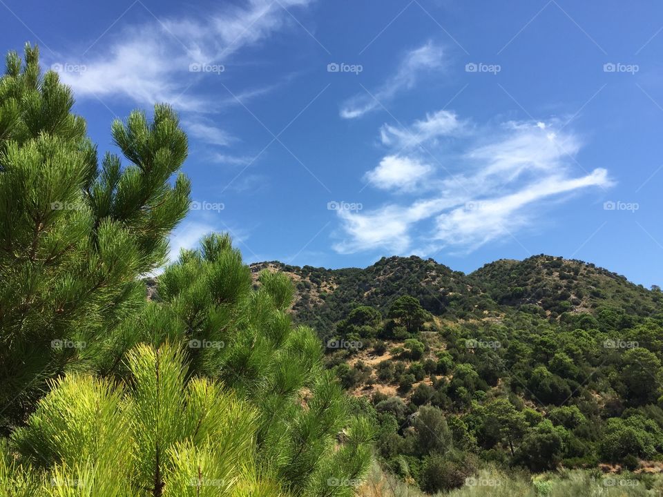 Mountin  in Benahavis