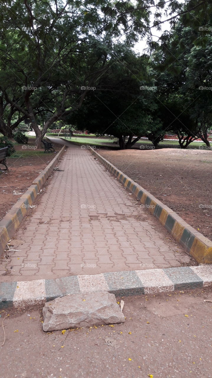 pathway