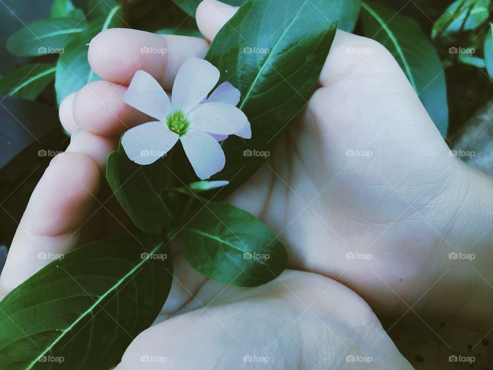 The hope of a green world in the hands of a child