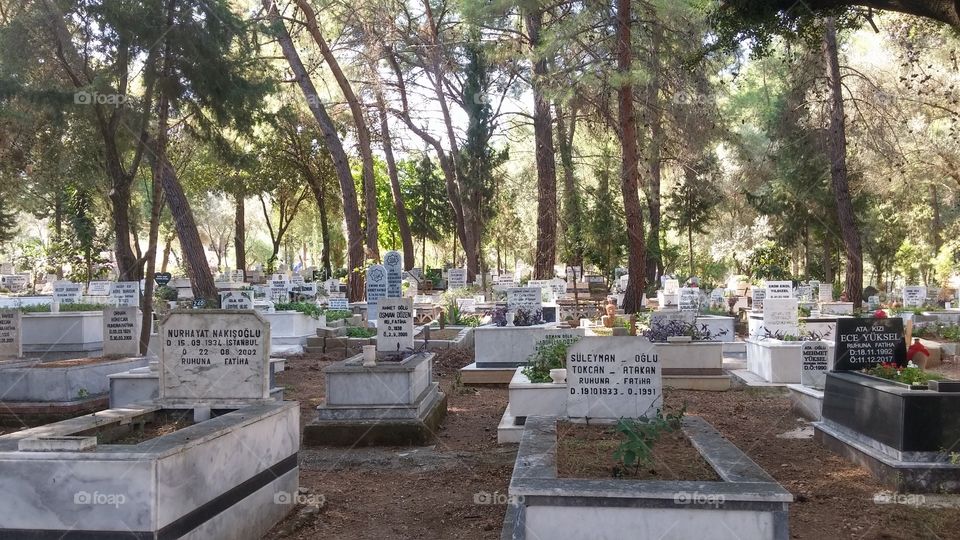 Armutalan Cemetery(7) Marmaris