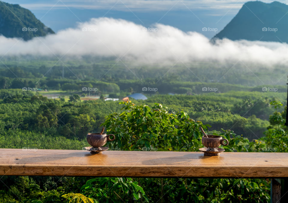 Beautiful fog in valley at the sourthern of Thailand