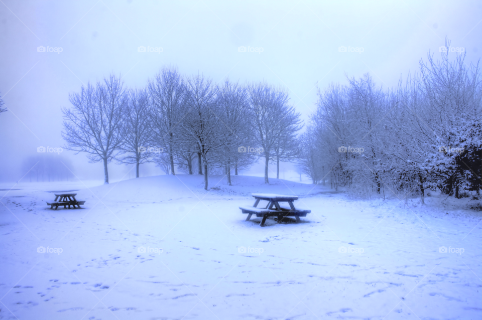 snow winter table trees by joannieofarc