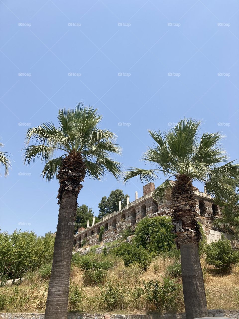 Beach time on holidays. Blue sky and tall palm trees. Sunsets and sunny days. Summertime in Kusadasi. Vacation travel in Turkey . Summer view. Sunny day during vacation 