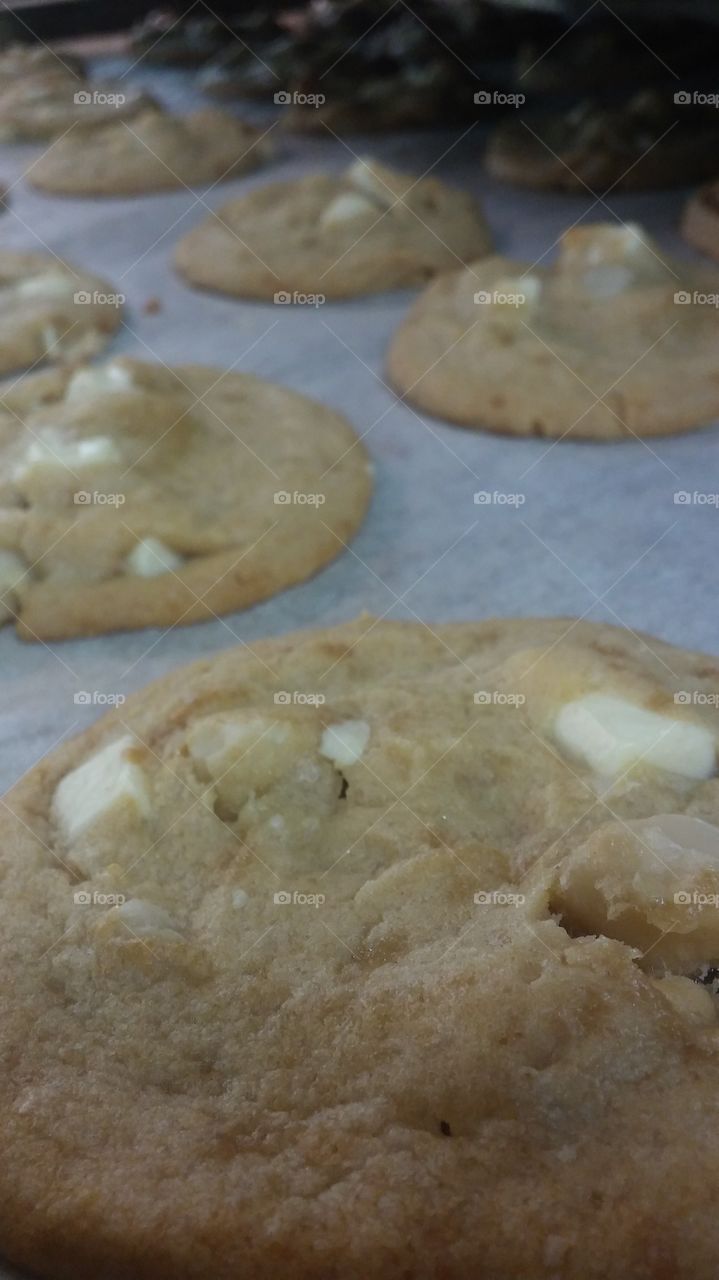 macadamia nut cookies