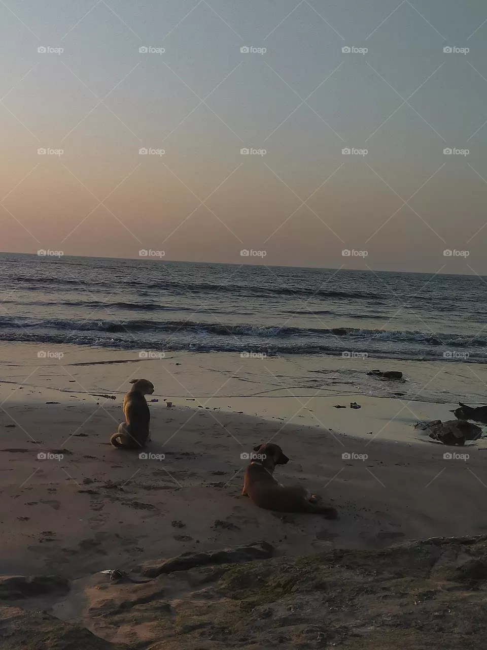 Just two friends having fun at beachside