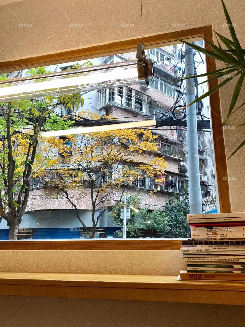 Windows